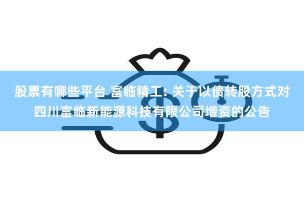 股票有哪些平台 富临精工: 关于以债转股方式对四川富临新能源科技有限公司增资的公告
