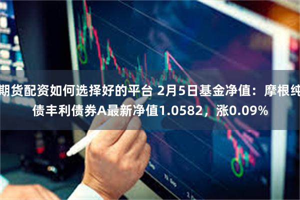 期货配资如何选择好的平台 2月5日基金净值：摩根纯债丰利债券A最新净值1.0582，涨0.09%
