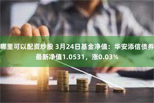 哪里可以配资炒股 3月24日基金净值：华安添信债券最新净值1.0531，涨0.03%
