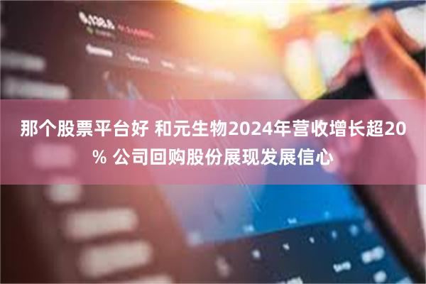 那个股票平台好 和元生物2024年营收增长超20% 公司回购股份展现发展信心