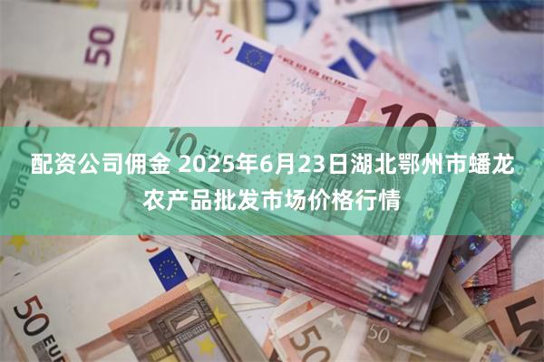 配资公司佣金 2025年6月23日湖北鄂州市蟠龙农产品批发市场价格行情