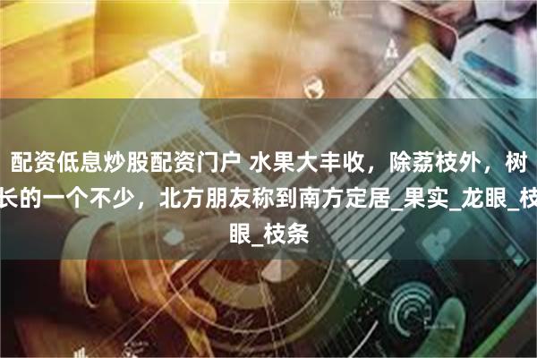 配资低息炒股配资门户 水果大丰收，除荔枝外，树上长的一个不少，北方朋友称到南方定居_果实_龙眼_枝条