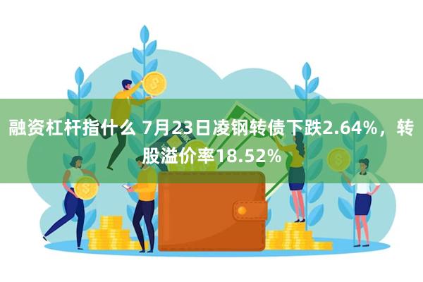融资杠杆指什么 7月23日凌钢转债下跌2.64%，转股溢价率18.52%