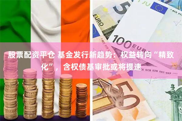 股票配资平仓 基金发行新趋势：权益转向“精致化”，含权债基审批或将提速